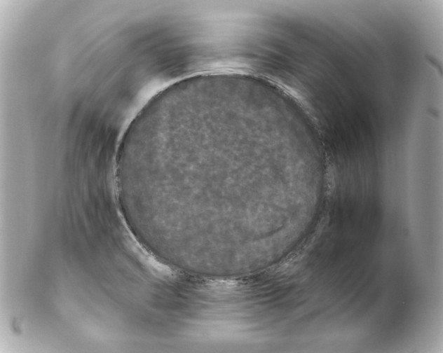 X0000102261470200808151829