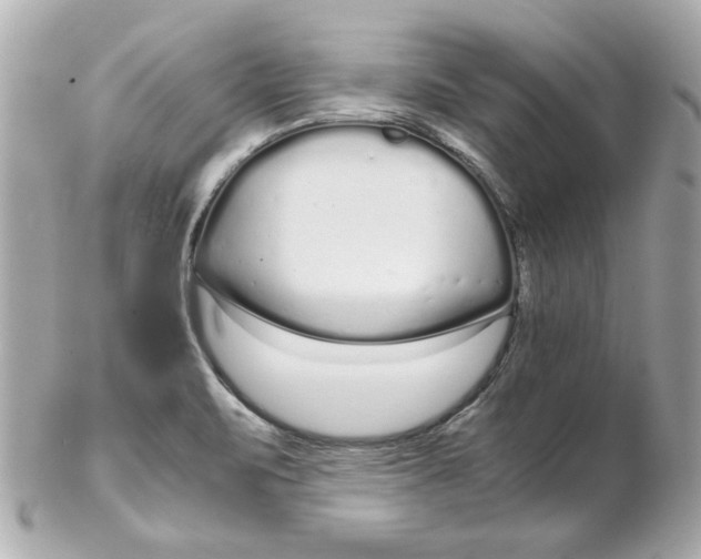 X0000102261471200808151829