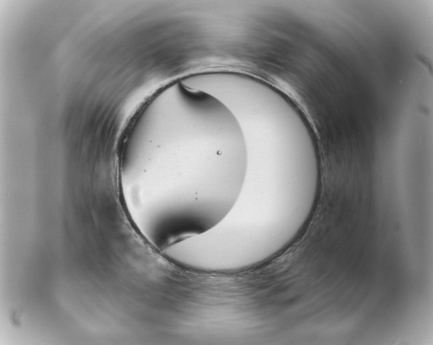 X0000102261472200808151829