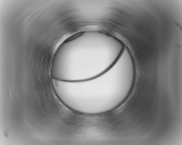 X0000102261473200808151829