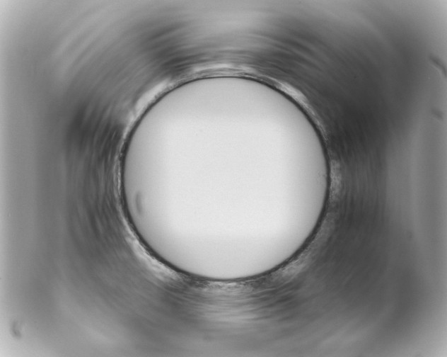 X0000102261474200808151829