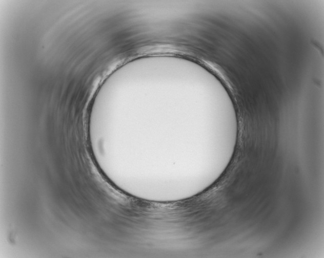 X0000102261475200808151829