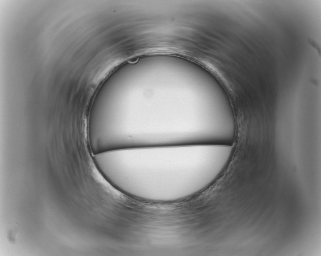 X0000102261476200808151829