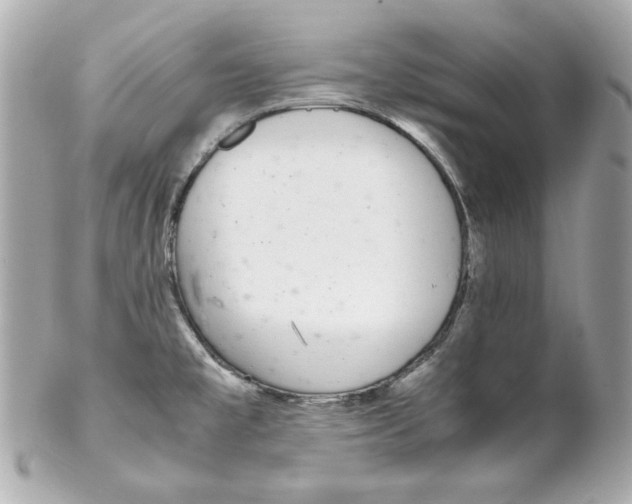 X0000102261477200808151829