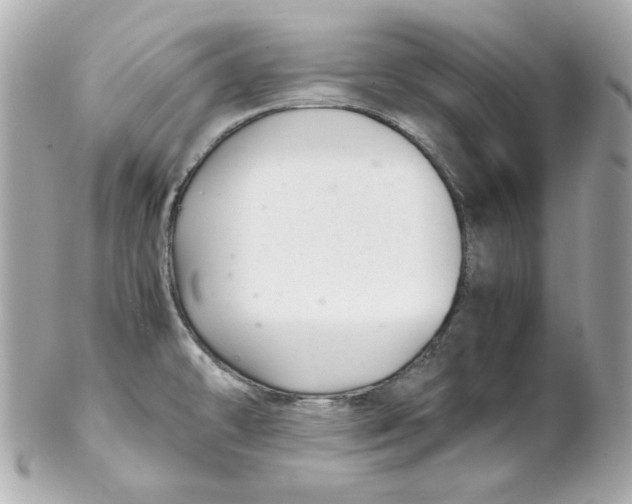 X0000102261478200808151829