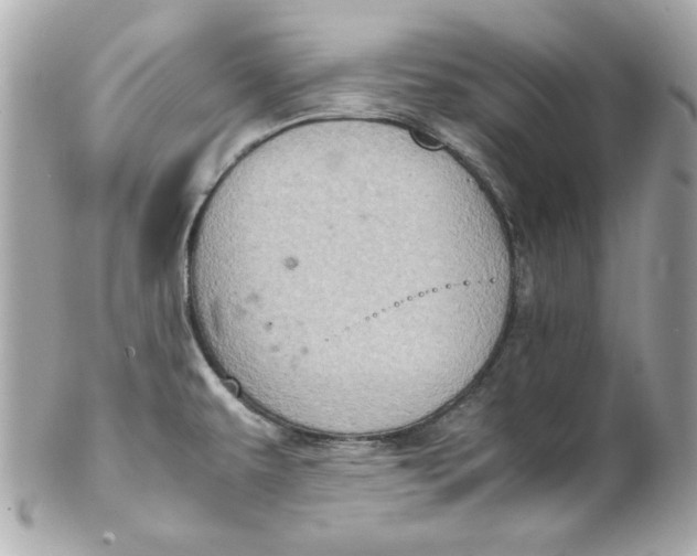 X0000102261479200808151829