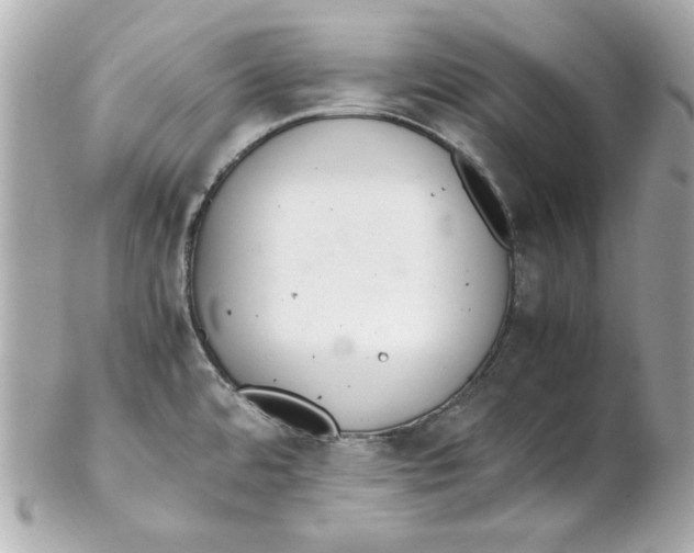 X0000102261480200808151829