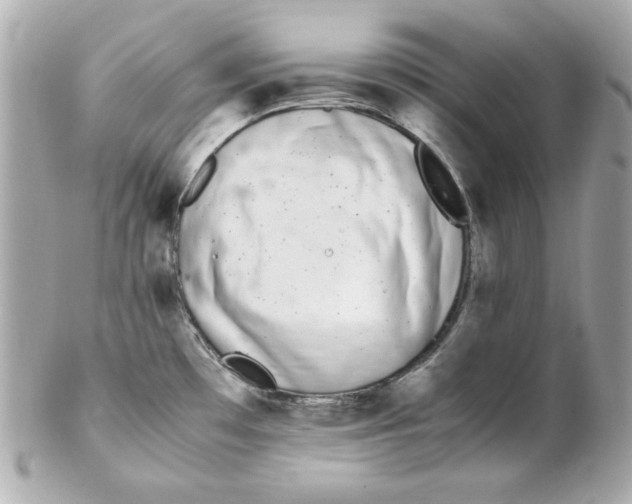 X0000102261481200808151829