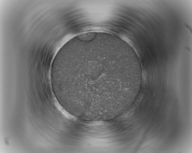 X0000102261482200808151829