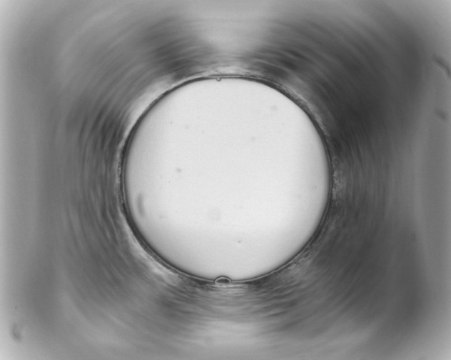 X0000102261483200808151829