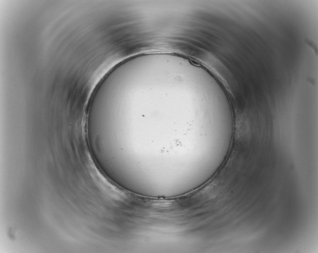 X0000102261484200808151829