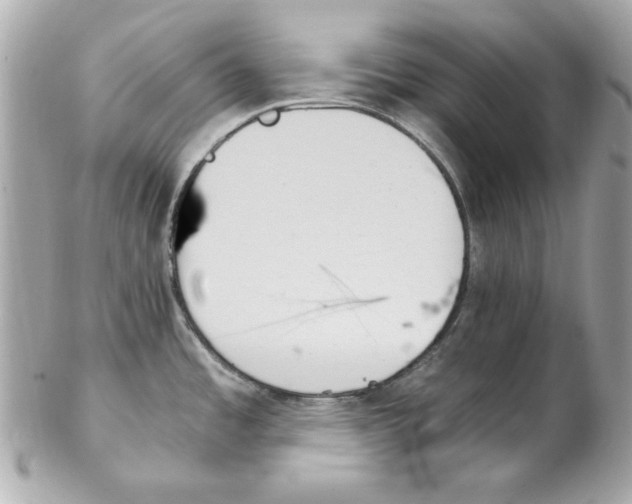 X0000102261485200808151829