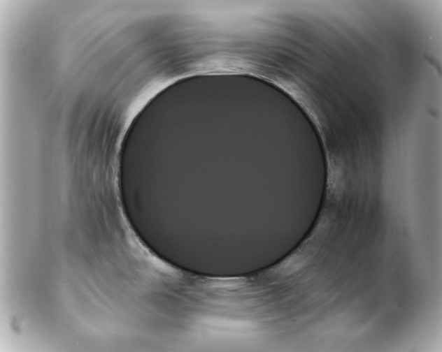 X0000102261486200808151829