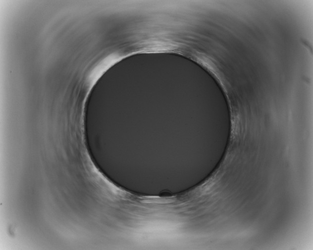 X0000102261487200808151829