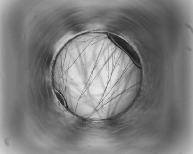 X0000102261488200808151829