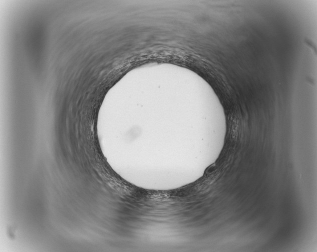 X0000102261489200808151828