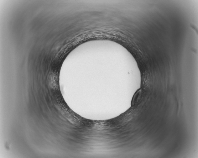 X0000102261490200808151828