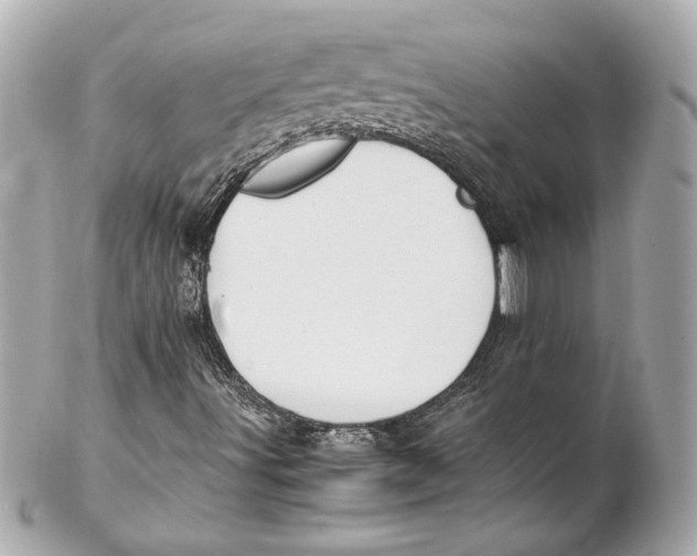 X0000102261491200808151828