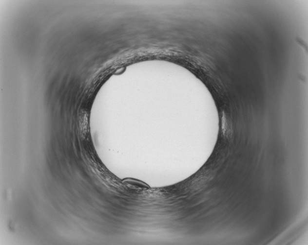 X0000102261492200808151828