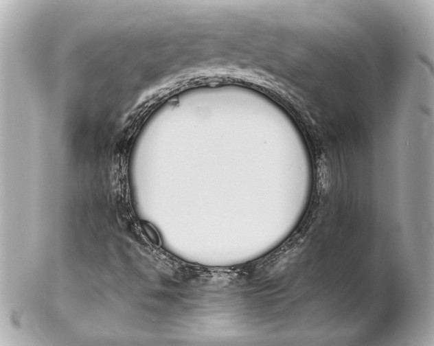 X0000102261494200808151828