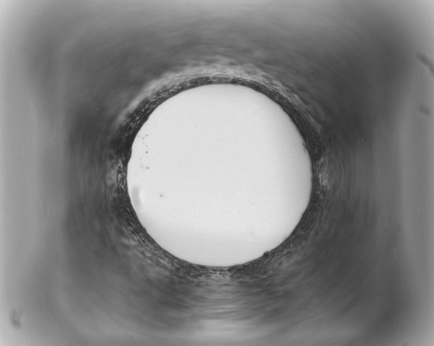 X0000102261495200808151828