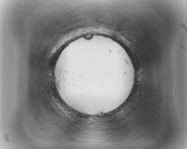 X0000102261496200808151828