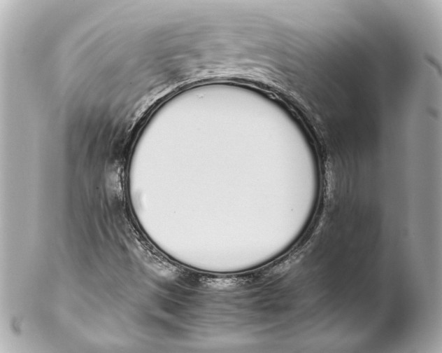 X0000102261497200808151828