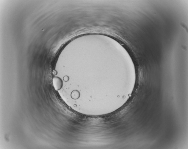 X0000102261498200808151828