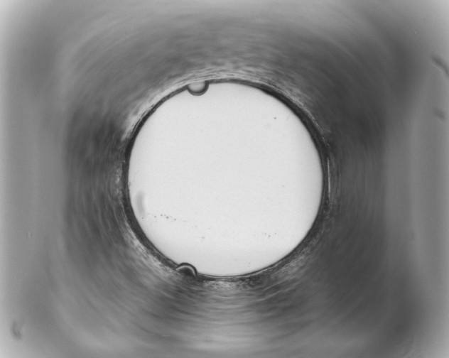 X0000102261500200808151828