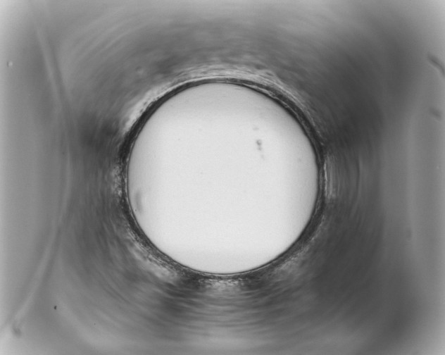 X0000102261501200808151828