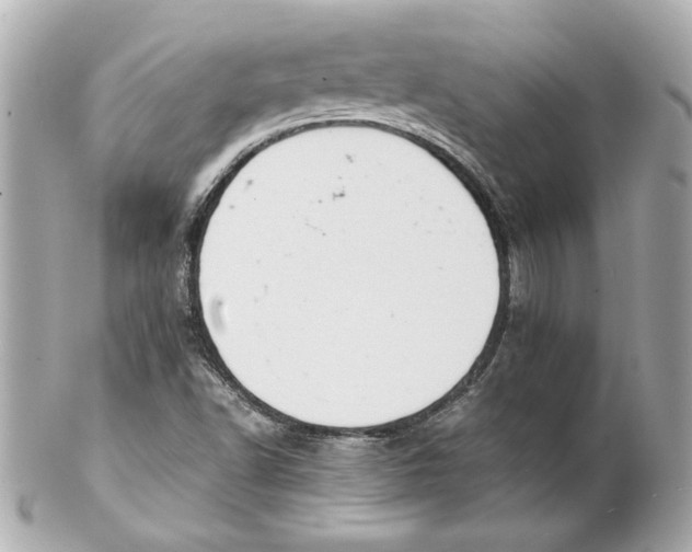 X0000102261502200808151828