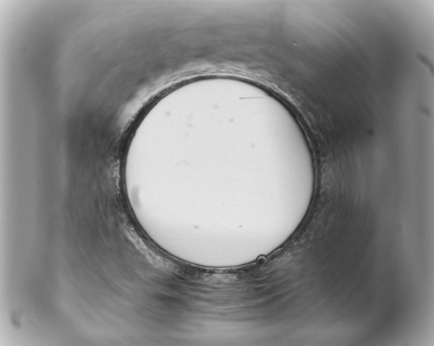 X0000102261503200808151828