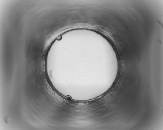 X0000102261504200808151828