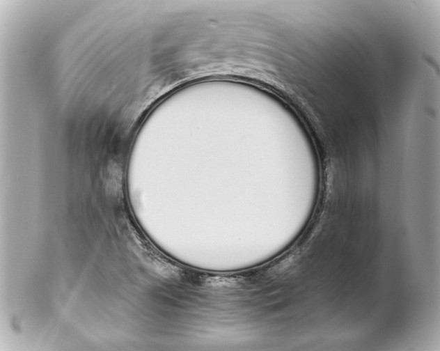 X0000102261505200808151828