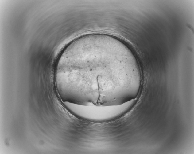 X0000102261506200808151828