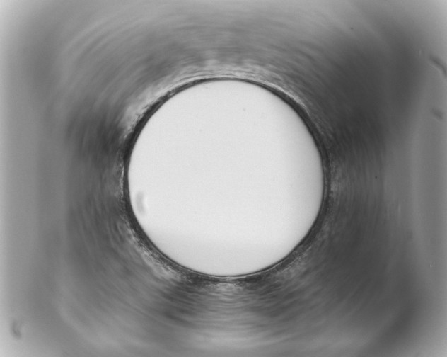 X0000102261507200808151828