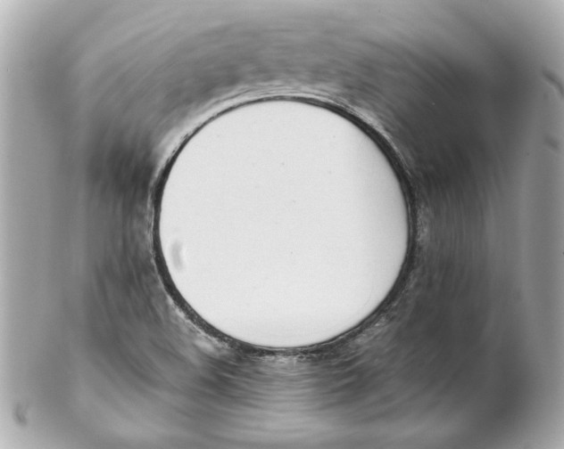 X0000102261508200808151828