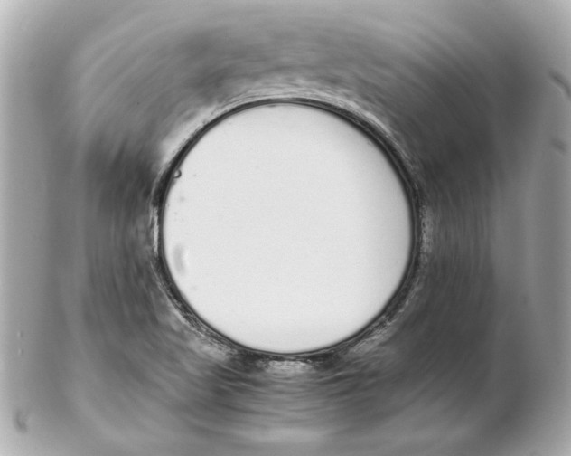 X0000102261509200808151828