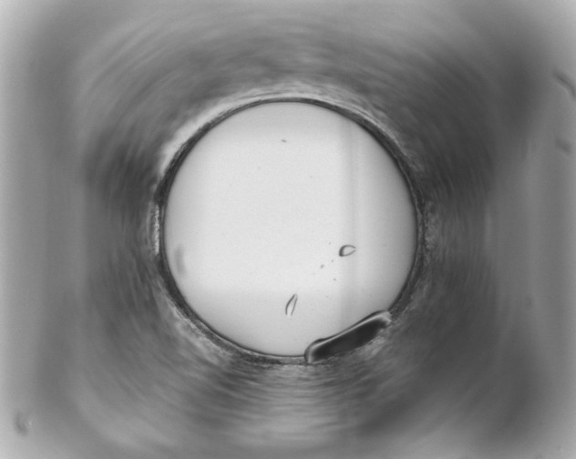 X0000102261510200808151828