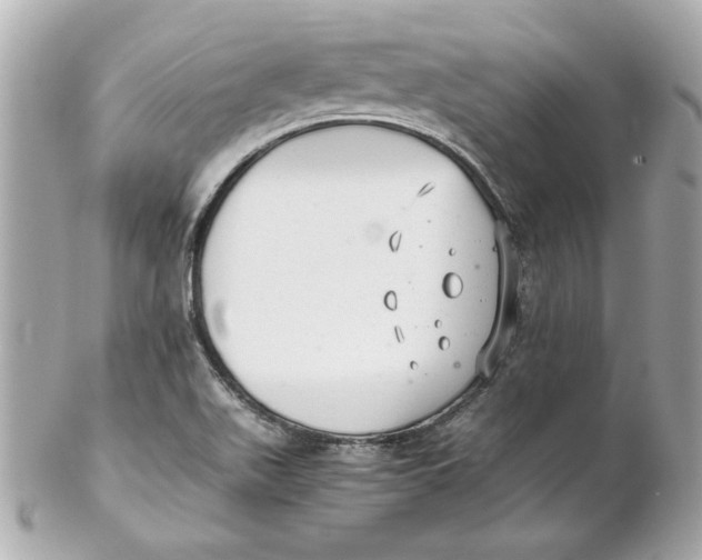 X0000102261511200808151828