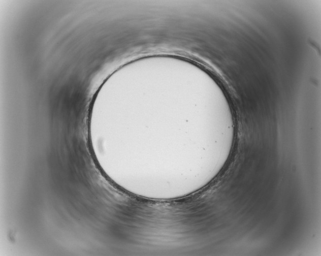 X0000102261512200808151828