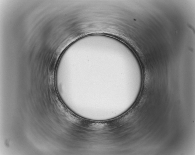 X0000102261513200808151828