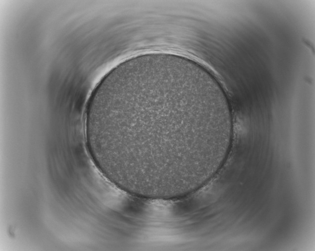 X0000102261514200808151828