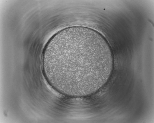 X0000102261515200808151828