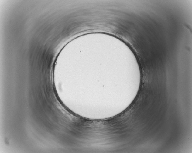 X0000102261516200808151828