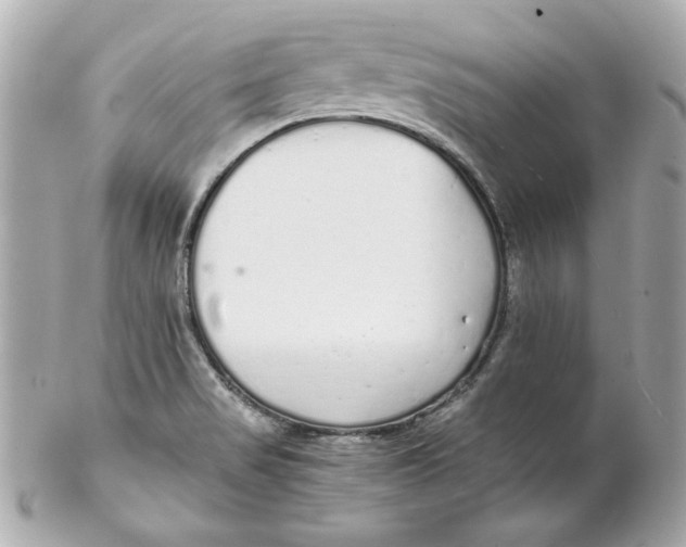 X0000102261517200808151828