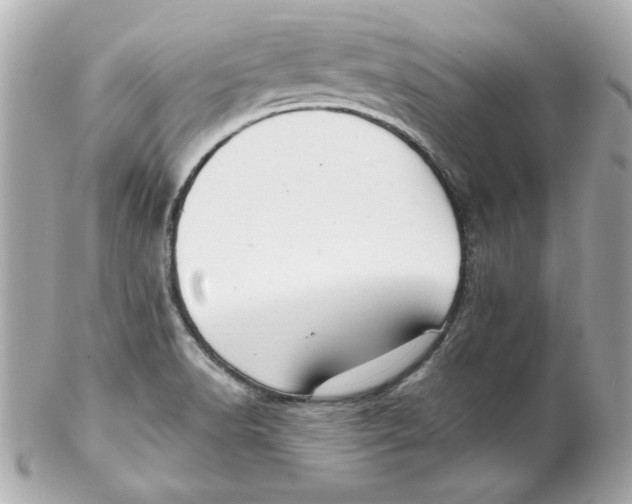 X0000102261518200808151828