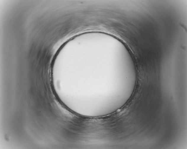 X0000102261519200808151828