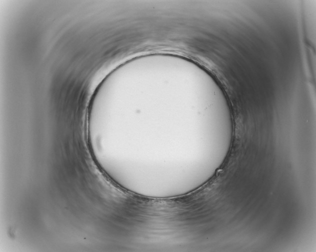 X0000102261520200808151828