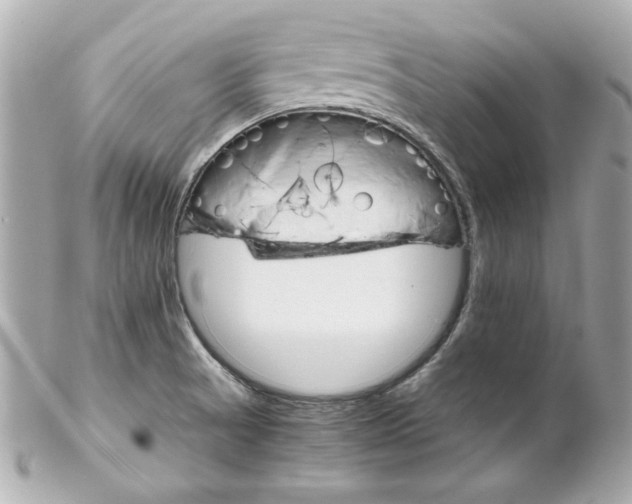 X0000102261521200808151828